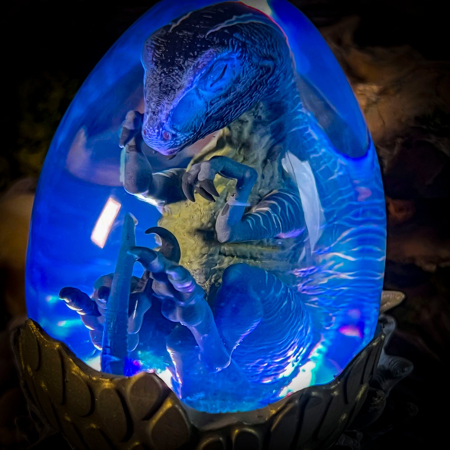 Raptor Hatchlight