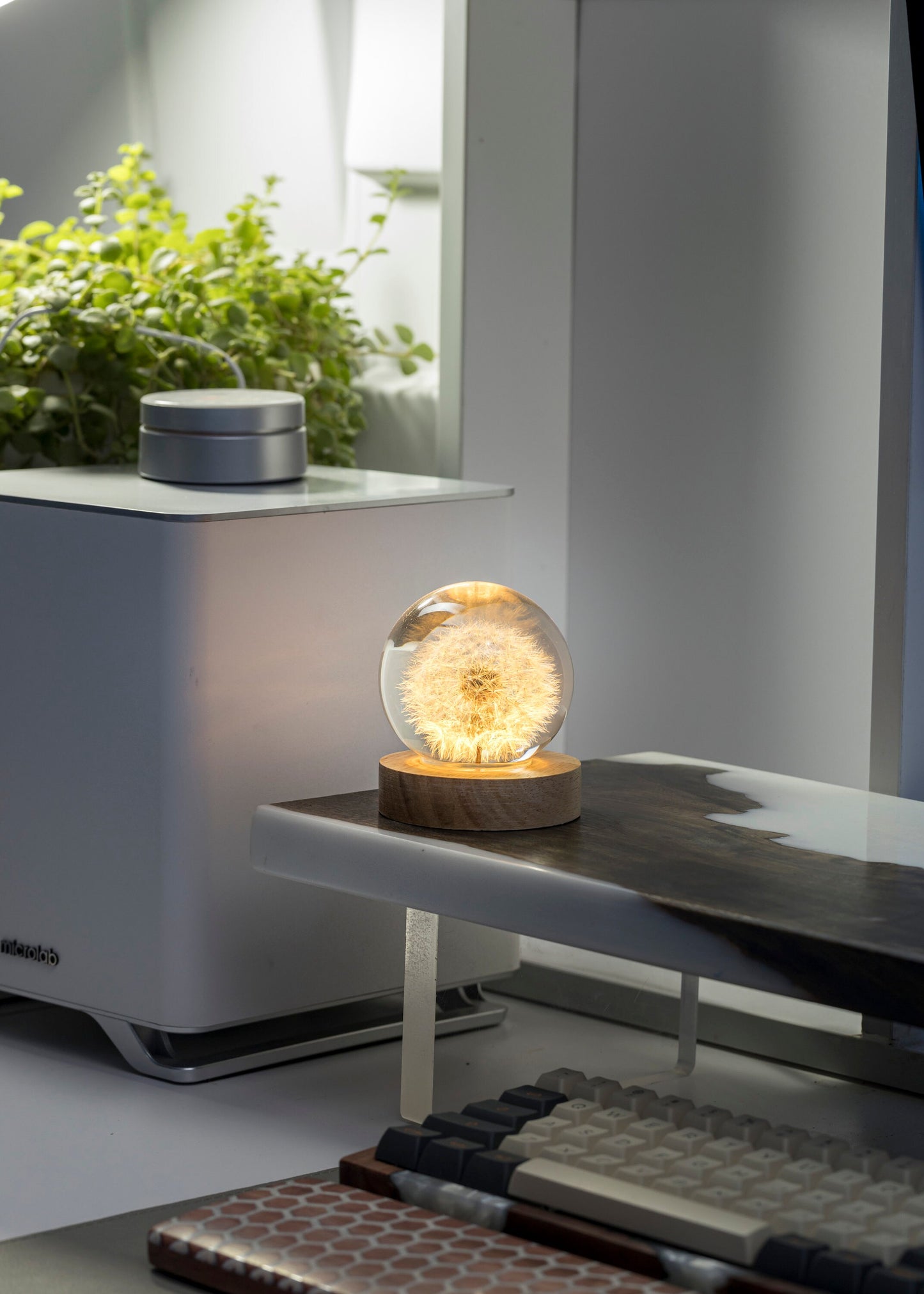 DANDELION - Handmade Lamp