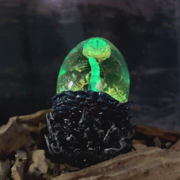 Legendary Monster Hatchlight