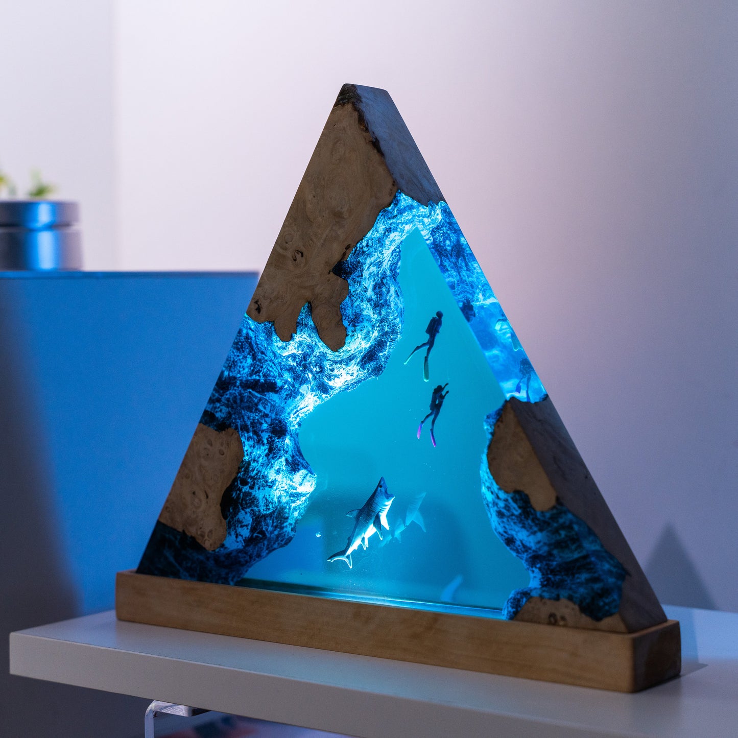Divers Night Light