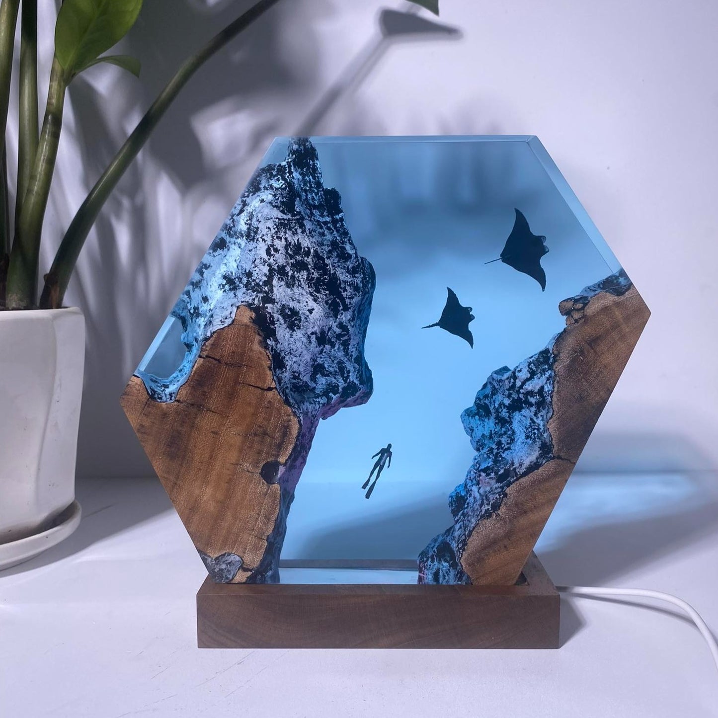 Ray and Diver - Epoxy Resin Lamp