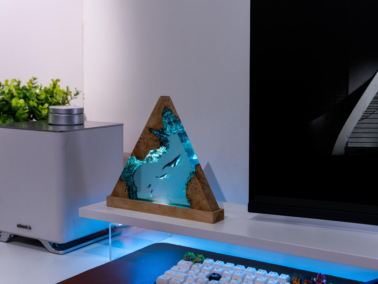 Whale Dream Light