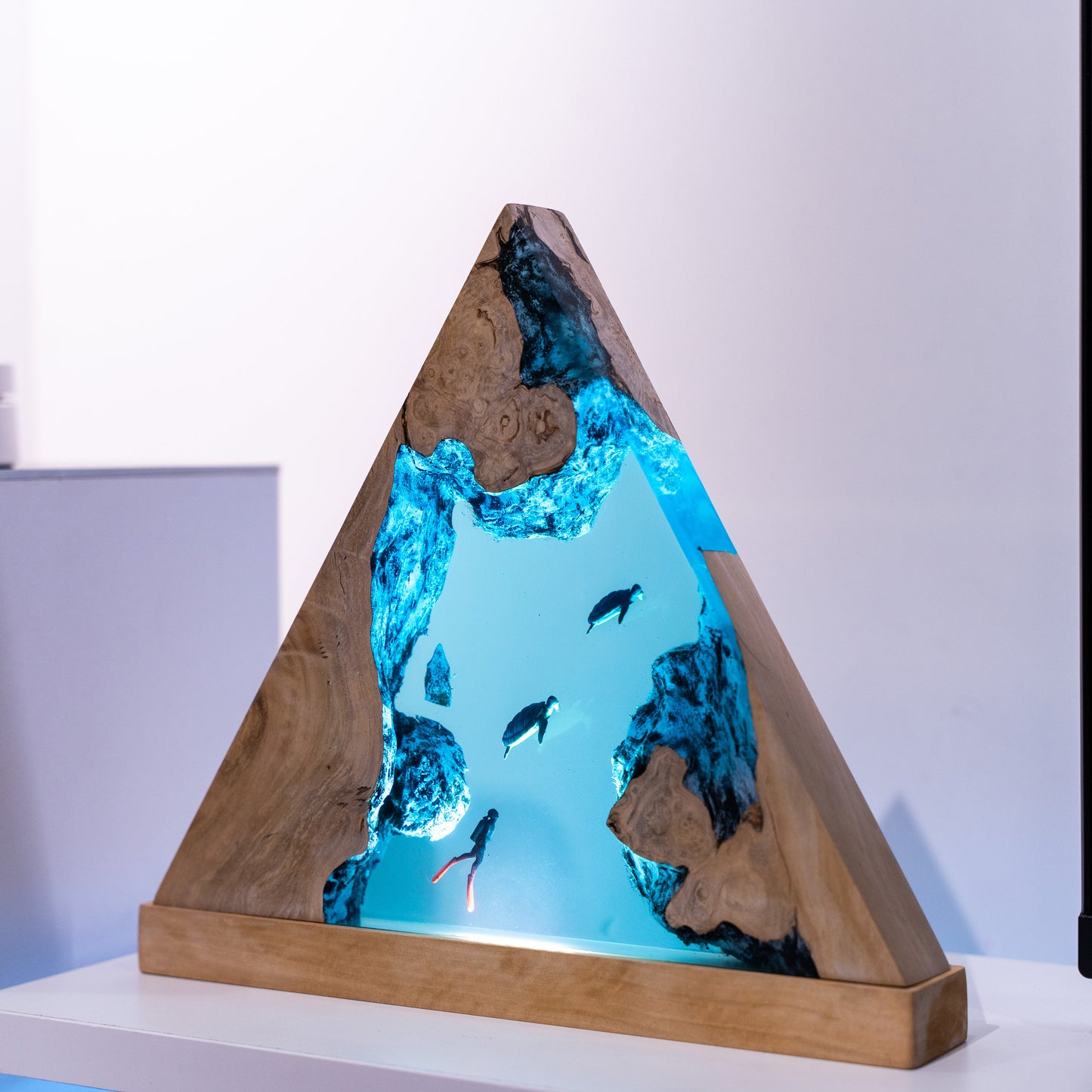Divers Night Light