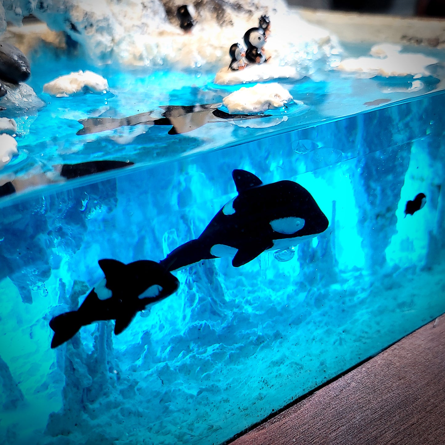 Penguin Night Light