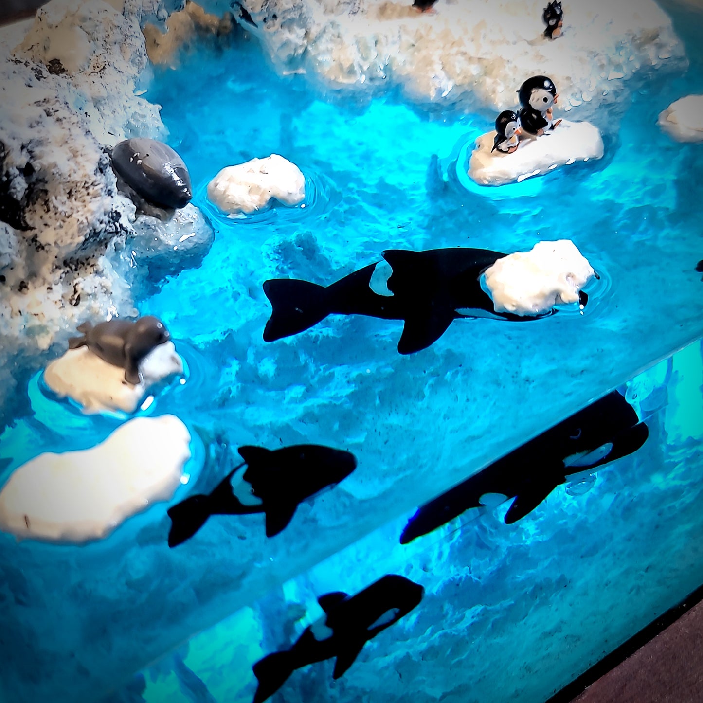 Penguin Night Light