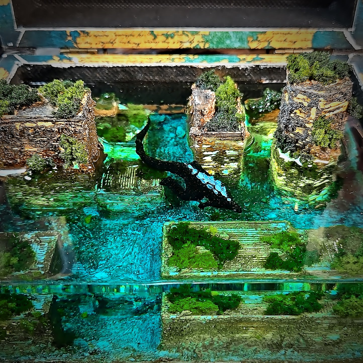 The Lost City Wooden Box Lights