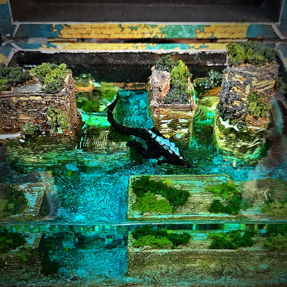The Lost City Wooden Box Lights