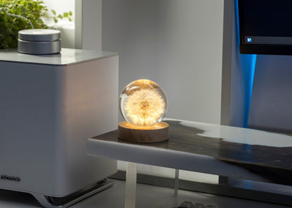 DANDELION - Handmade Lamp